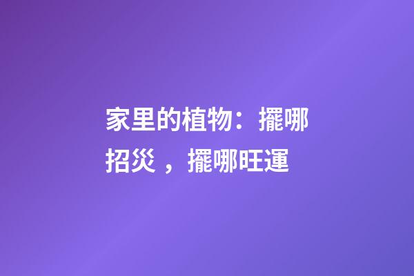 家里的植物：擺哪招災，擺哪旺運